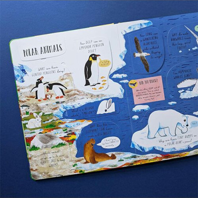 Laege Question and Answer Flap Book - Animals by  Rachel Moss