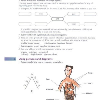 English Vocabulary In Use Upper-Intermediate Book With Answers