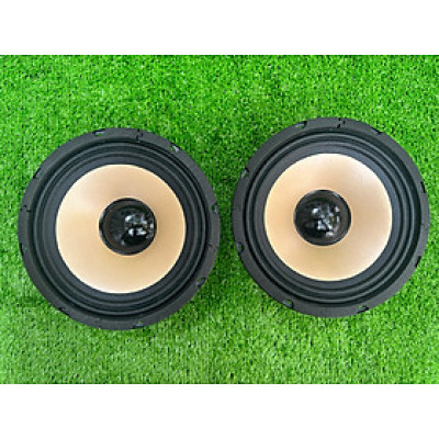 CỦ LOA BASS RỜI 20 COIL 38 TỪ 100 GÂN VẢI HÀNG CHÍNH HÃNG HẢI TRIỀU ( GIÁ 1 CÁI)