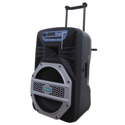 Loa kéo di động karaoke Rinton PL2-II 400W (có bình) - Hàng chính hãng