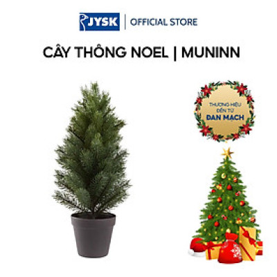 Cây thông Noel | JYSK Muninn | xi măng/sắt | xanh lá/nâu | DK13xC48cm