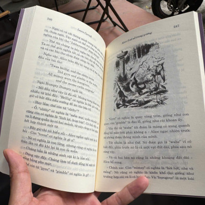 ALICE Ở XỨ SỞ DIỆU KÌ & ALICE Ở XỨ SỞ TRONG GƯƠNG – Lewis Carroll – Lê Thị Oanh dịch – Đông A