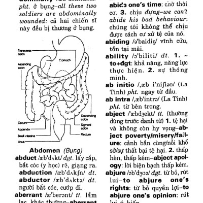 Từ Điển Anh - Việt (Trên 350.000 Từ)