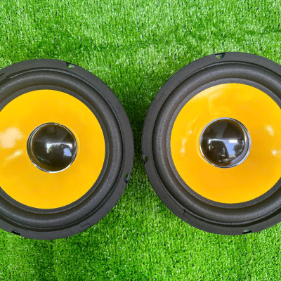 CỦ LOA BASS RỜI 20 TỪ LỚN HÀNG CHÍNH HÃNG HẢI TRIỀU COIL 38 TỪ 126 MÀN VÀNG (GIÁ 1 CÁI)