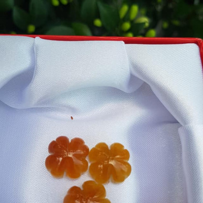 Mặt Bông Hoa cỏ 4 lá màu vàng cam nữ phối vòng tay,làm mặt nhẫn Chất liệu đá cẩm thạch size hạt 14mm x dầy 6mm Nữ về phối với vòng tay của mình đeo hay làm mặt nhẫn mặt dây chuyền đeo xinh ạ