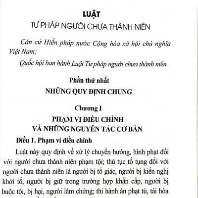 Sách - Luật Tư Pháp Người Chưa Thành Niên