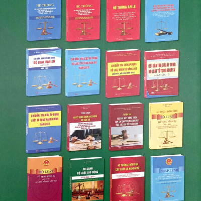 Hệ Thống Các Nghị Quyết Của Hội Đồng Thẩm Phán Tòa Án Nhân Dân Tối Cao Về Hành Chính, Kinh Tế-Thương Mại Và Hôn Nhân Gia Đình Từ Năm 2000 Đến 2023 (Dành Cho Phẩm Phán, Thẩm Tra Viên, Hội Thẩm, Kiểm Soát Viên, Luật Sự Và Các Học Viên Tư Pháp)