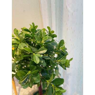 Cây hạnh phúc giả - Size từ 90cm đến 140cm - Kèm chậu phủ rêu - Cây giả, hoa lụa Decor trang trí nhà cửa