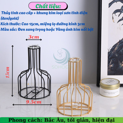Lọ Hoa Nghệ Thuật Khung Sắt Kèm Ống Thủy Tinh- Bình Hoa Trang Trí Khung Kim Loại Hiện Đại- Lọ Hoa Phong Cách Bắc Âu – Khung Sắt & Ống Thủy Tinh- Chân Đế Lọ Hoa Sáng Tạo Decor Nhà Cửa- Bình Hoa Mini Trang Trí Bàn Làm Việc/Phòng Khách