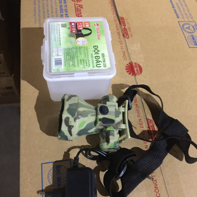 Đèn Pin LED Đội đầu Chính Hãng Rạng Đông Model: LED PDD01L 1W