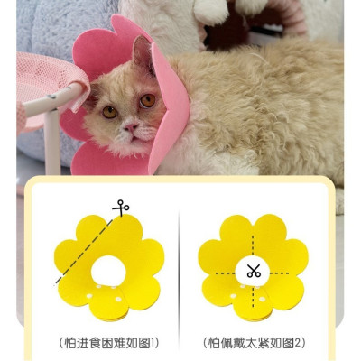 Loa chống liếm hình bông hoa dành cho chó mèo