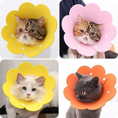 Loa chống liếm hình bông hoa dành cho chó mèo