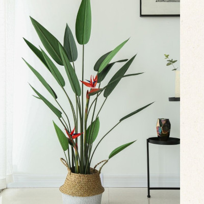 Cây thiên điểu lá nhọn giả - Size từ 120cm, 160cm, 180cm - Cây giả, hoa lụa Decor trang trí nhà cửa