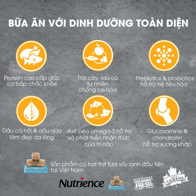 Thức Ăn Hạt Cho Mèo Nutrience Subzero Bao 500g - Thịt Gà, Cá Hồi, Cá Trích, Cá Tuyết, Cá Đại Dương, Rau Củ Quả, Trái Cây