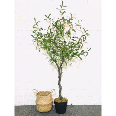 Cây oliu giả - thân gỗ - Size từ 80cm đến 130cm - Cây giả, hoa lụa Decor trang trí nhà cửa