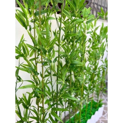 Trúc giả trang trí nhà cửa Set cây trúc giả nhiều lá loại 1 - 3 kích thước - Cây giả, hoa lụa Decor trang trí nhà cửa