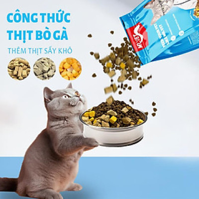 Tặng gói dùng thử - Hạt cho mèo Mr.Vet - Petour Singapore - Hạt full topping hơn 30% đạm - Túi seal 1 kg