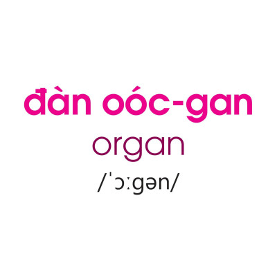 Thế Giới Quanh Em - Âm Nhạc - Thể Thao