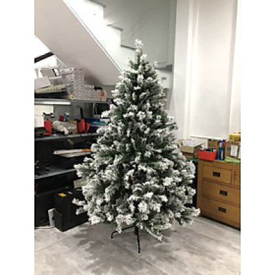 Cây thông noel phủ tuyết cao 1m8 - Cây loại 3 lá dày tán rộng