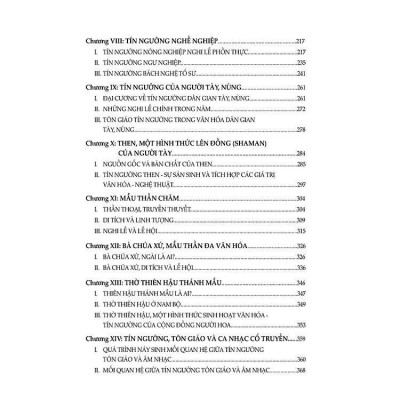 Sách - Tín Ngưỡng Và Văn Hóa Tín Ngưỡng Ở Việt Nam - Ngô Đức Thịnh - VIETNAMBOOK