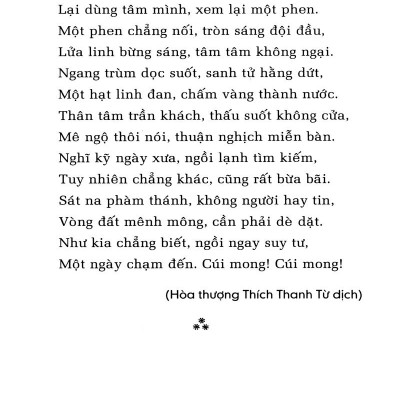 Tâm Yếu Tu Thiền 