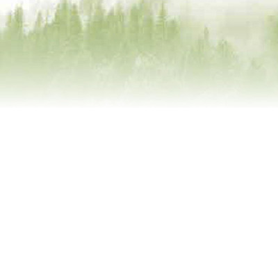 Bí Mật Của May Mắn - Khổ Lớn (Tái Bản 2021)