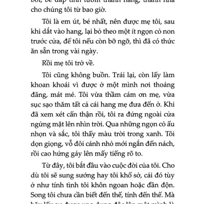 Sách - Dế Mèn Phiêu Lưu Ký - Diary Of A Cricket (Tái Bản 2025)