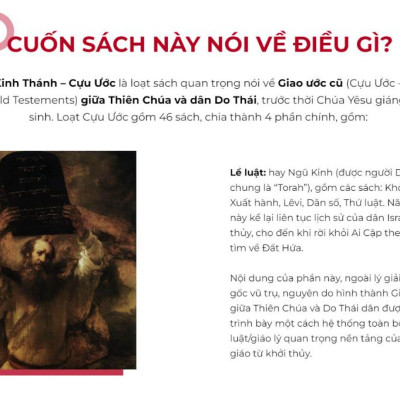 Lẻ/Combo - Kinh Thánh Cựu Ước & Tân Ước - Linh mục Nguyễn Thế Thuấn - Bản Quyền