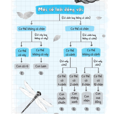 Sổ Tay Kiến Thức - Phương Pháp - Dạng Bài Khoa Học Tự Nhiên Lý - Hóa - Sinh - MEGA