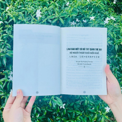 Làm Sao Biết Có Bồ Tát Quán Thế Âm Độ Người Thoát Khỏi Biển Khổ - VN