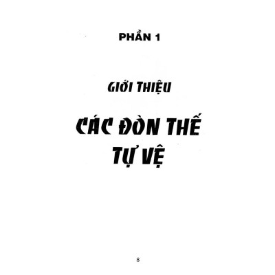 Bình Định Chân Truyền (Bộ 3 Tập)