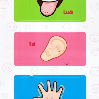 Sách Lift The Flap - Lật Mở Khám Phá - Cơ Thể Người (0 - 6 Tuổi)