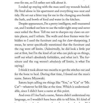 The Travelling Cat Chronicles