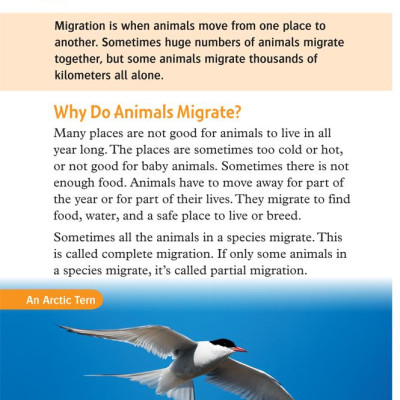 Oxford Read and Discover 5 Great Migrations