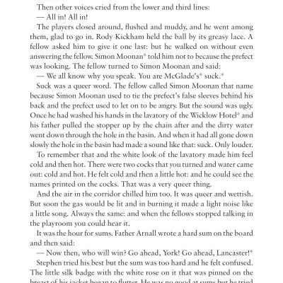 A Portrait Of The Artist As A Young Man