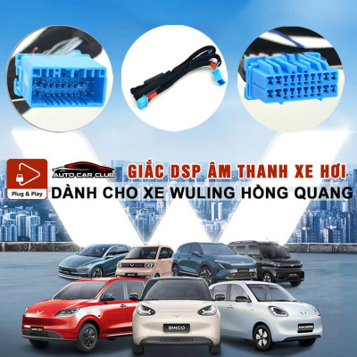 DÂY CẮM AMPLY/DSP, KẾT NỐI ĐẦU NGUYÊN BẢN CHO XE Ô TÔ WULING HỒNG QUANG TRUNG QUỐC, CHUẨN PLUG AND PLAY ĐỘ LOA DỄ DÀNG.
