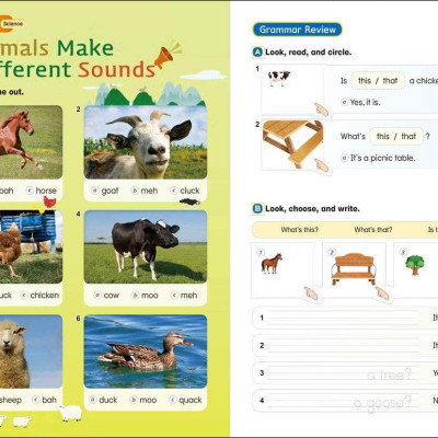 Hand in Hand 1 Workbook