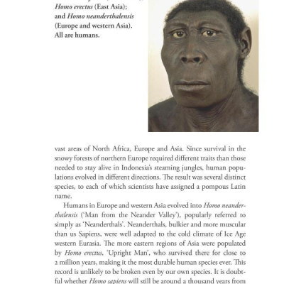 Sapiens : A Brief History of Humankind (Patterns of Life)