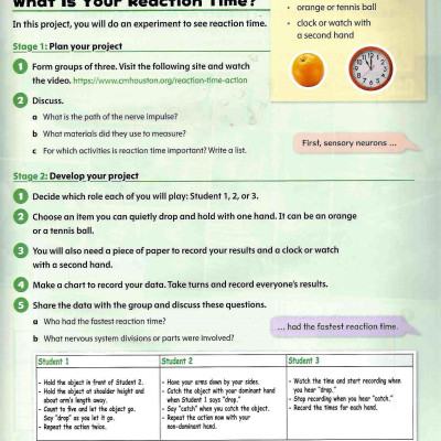 Oxford Discover Science 2nd Edition: Level 6: Student Book With Online Practice