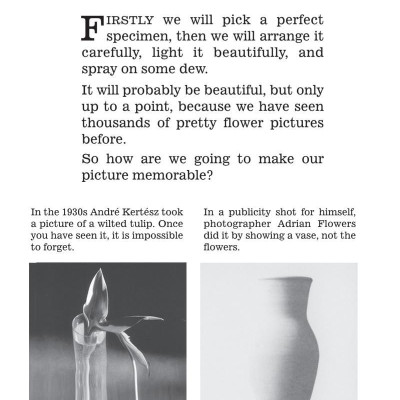 Whatever You Think, Think the Opposite