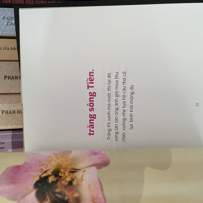 Combo 3c thơ Nguyễn Duy