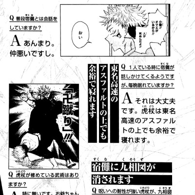 呪術廻戦 公式ファンブック (ジャンプコミックス)