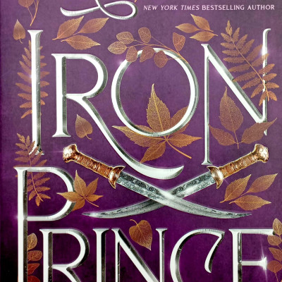 The Iron Fey 5: The Iron Prince Special Edition