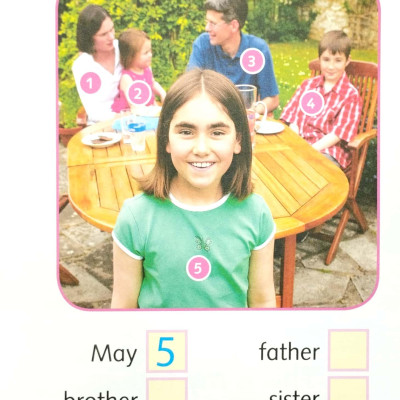 Dolphins Starter: My Family