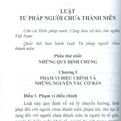 Luật Tư Pháp Người Chưa Thành Niên Năm 2024