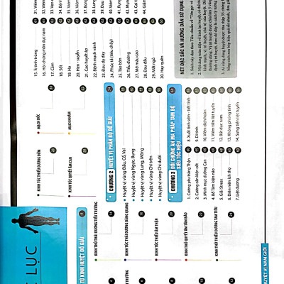 Sách Đồ giải Kinh Lạc Huyệt Vị Nam giới