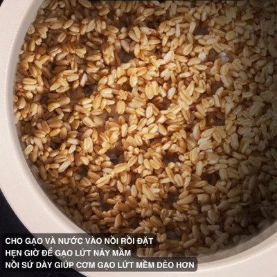 Nồi Cơm Điện Sứ Dưỡng Sinh Mishio MK365 lòng sứ nguyên chất 0.8L không chứa chất chống dính - Hàng chính hãng