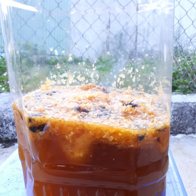 Mật ong rừng đặc sản Kon Tum nguyên chất (1lít))