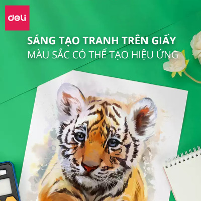 Bộ Màu Nước Nén Water Color Cao Cấp 24 36 48 Màu Tặng Bút Lông Nước, Mút, Cọ, Tẩy, Bút Chì, Gọt, Màu Trắng Deli - Chuyên Dùng Cho Học Sinh, Sinh Viên, Vẽ Mĩ Thuật Chuyên Nghiệp