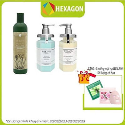 Combo Dầu gội xả phục hồi đa tầng nấm Truffle Weilaiya hương nước hoa và Dầu gội gừng hà thủ ô Weilaiya 400ml